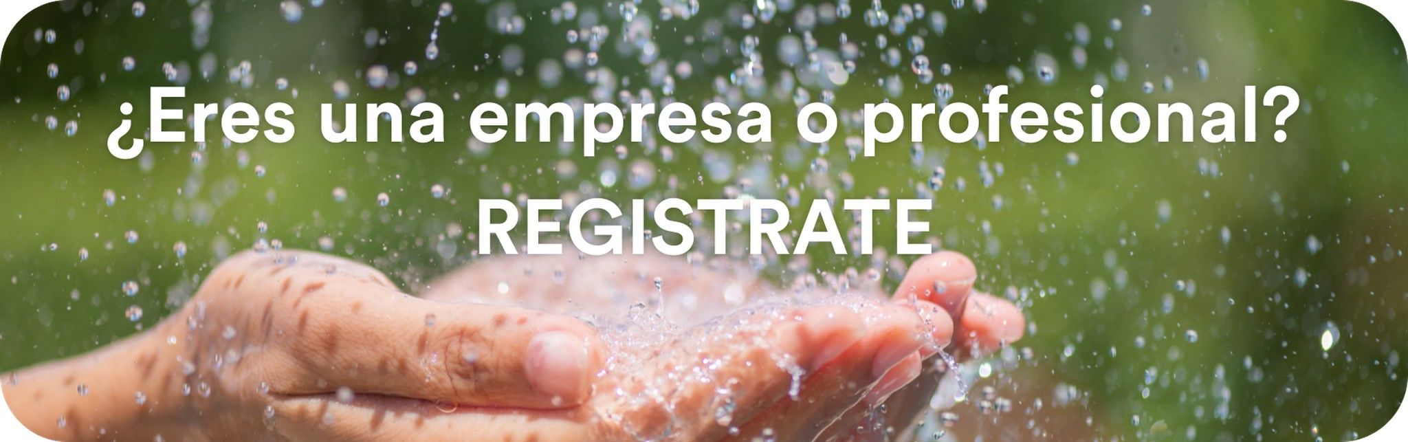 Empresa o profesional